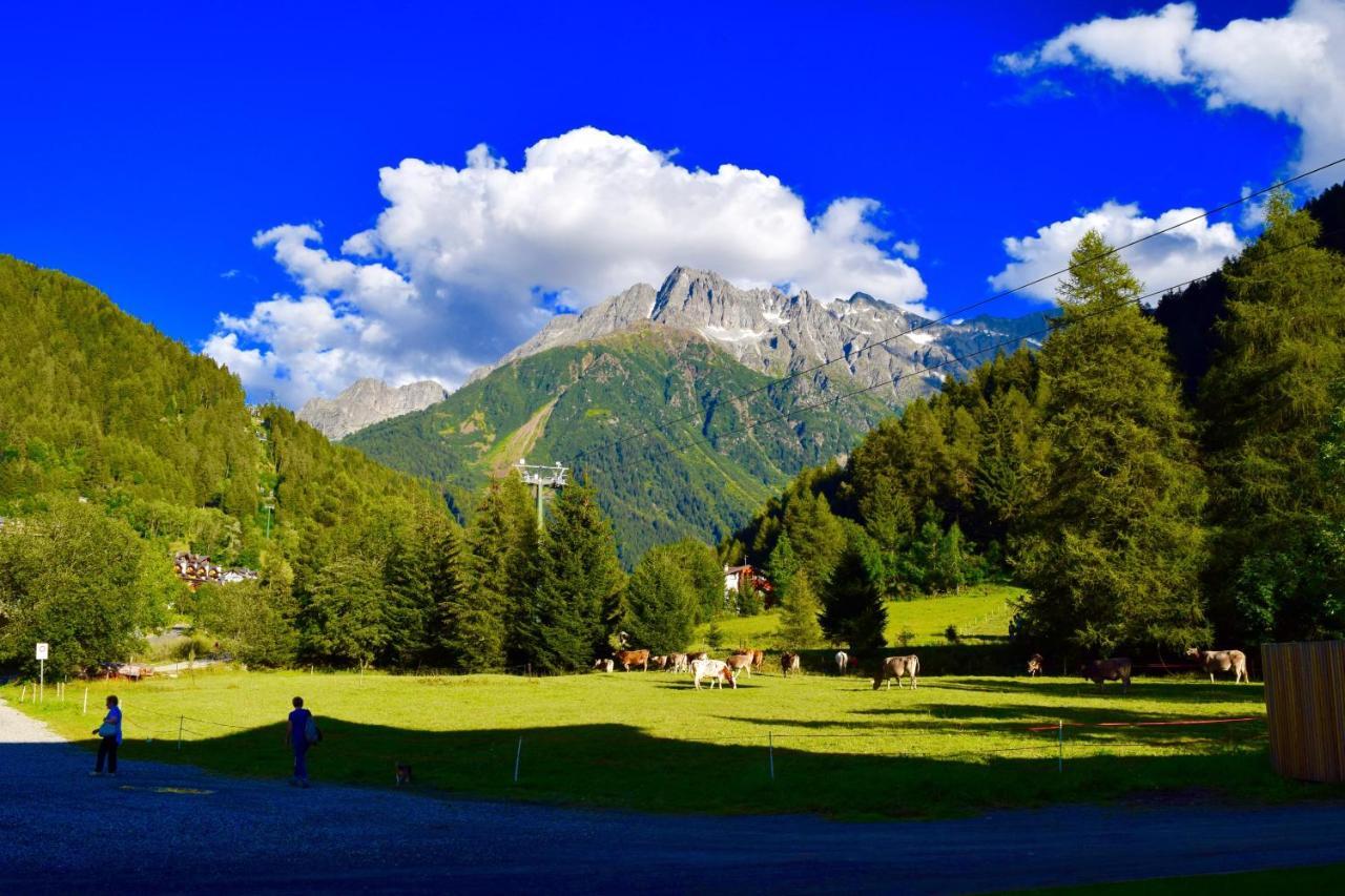 Hotel Garni Pegra Ponte Di Legno Eksteriør billede